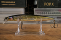 Mega Bass test lure