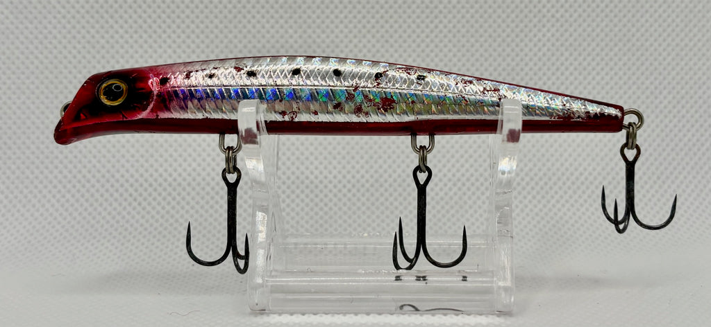 AREA 10 – head-on three-quarter view showing red head, gold eye, bib and holographic body profile