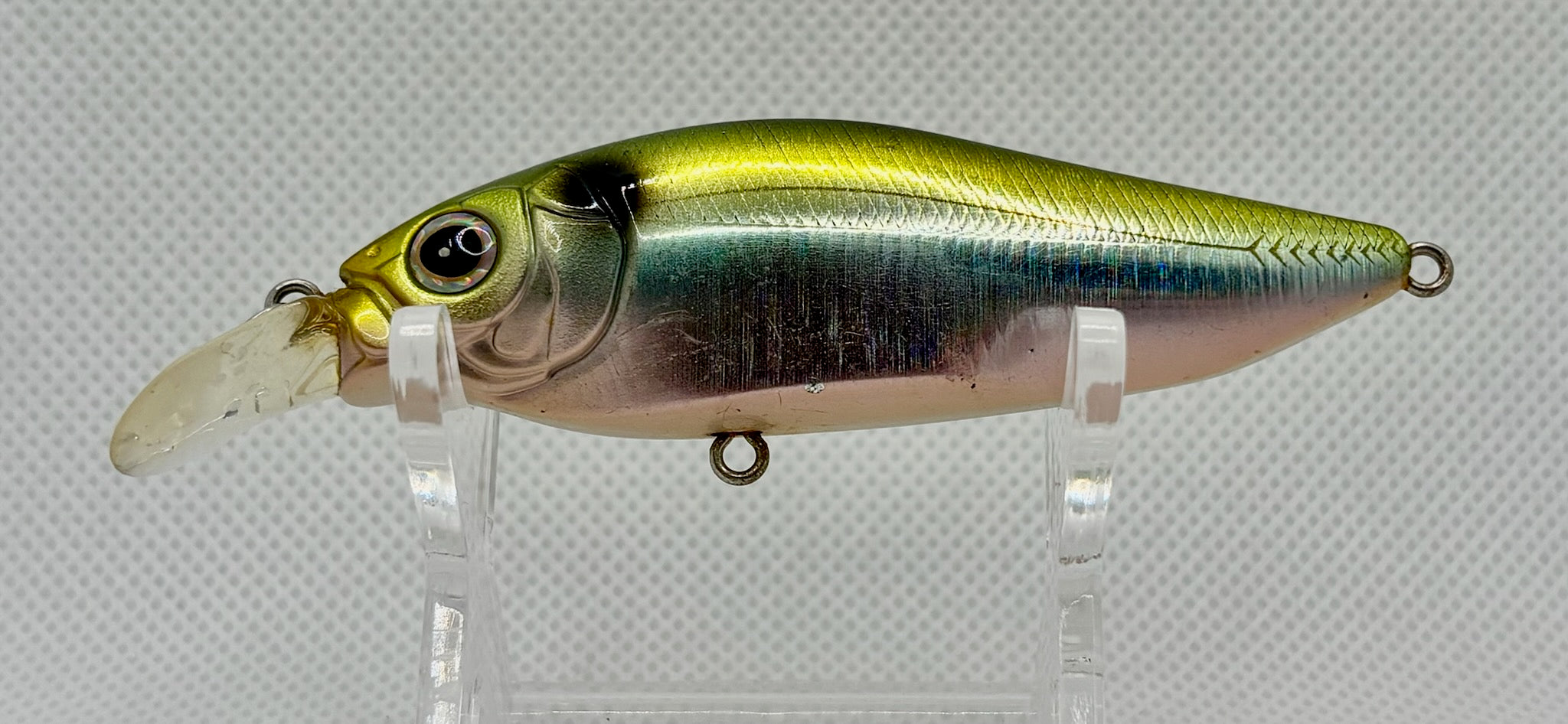Megabass Flap Slap – three-quarter head view showing large gold eye, olive head, holographic scale detail and bib