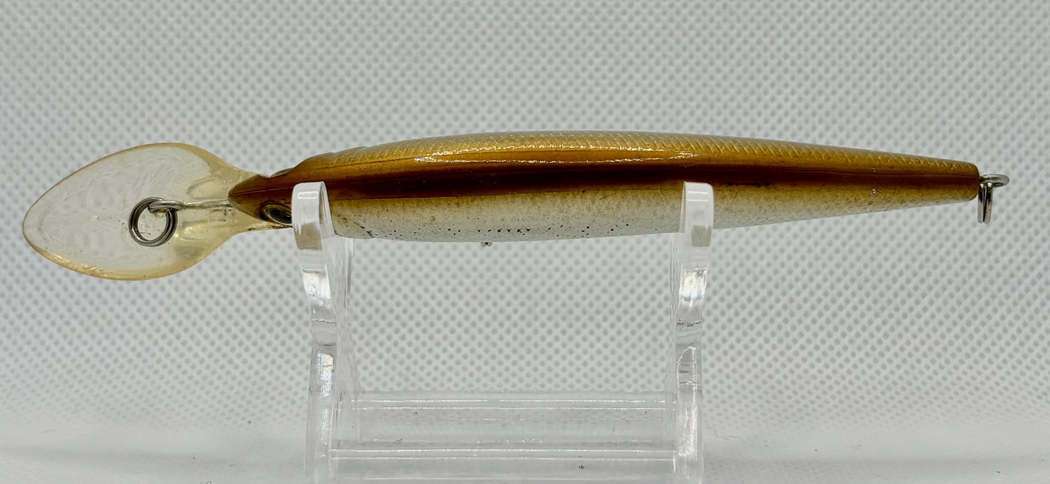SAURUS Rex Deep SP 90mm – Gold back dorsal view showing top colour