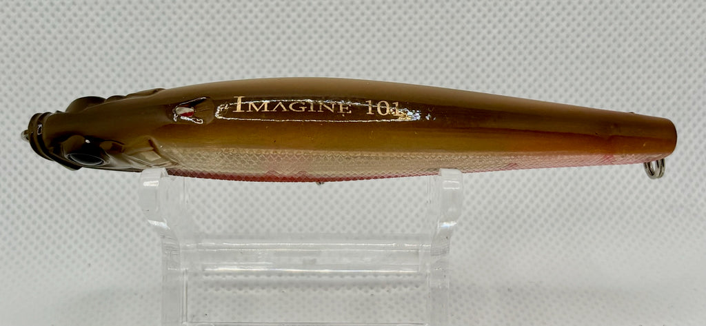 Shell Japan Imagine 101 – side profile showing Imagine 101 body marking, gold/brown back and split ring hangers, no hooks fitted