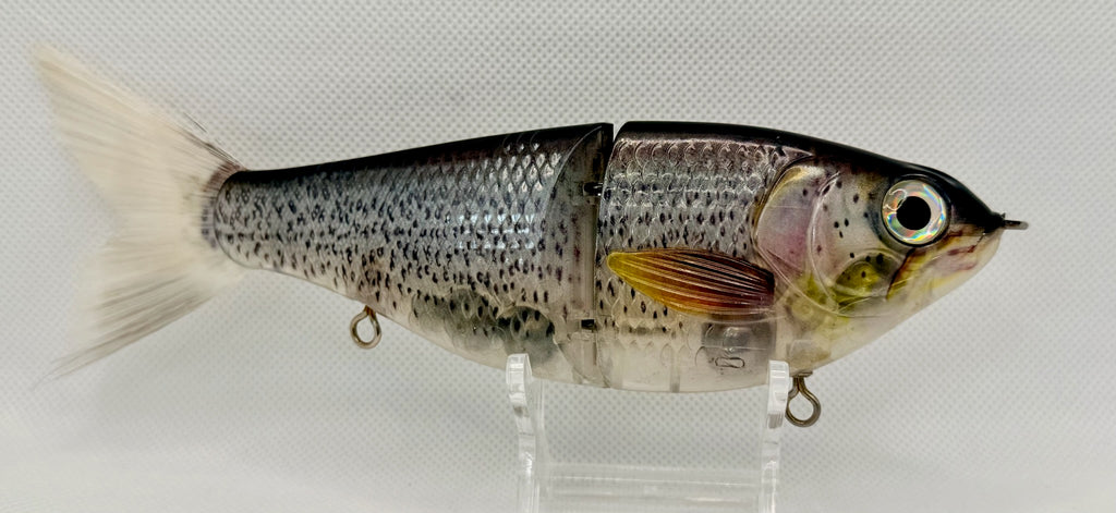 Japanese imported jointed swimbait 140mm – reverse side showing full silver body, articulated joint and soft tail